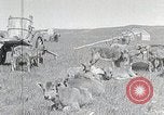 Standbild mongolischen Familie Mandschurei, 1932, aus Sekunde 35 historischem Filmmaterial Videoclip 65675025059