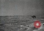 Image of Tsam celebrations Manchuria, 1932, second 52 stock footage video 65675025062