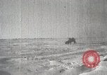 Image of Tsam celebrations Manchuria, 1932, second 54 stock footage video 65675025062