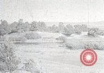 Image of sheep shearing Mongolia, 1932, second 7 stock footage video 65675025067