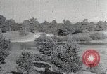 Image of sheep shearing Mongolia, 1932, second 10 stock footage video 65675025067