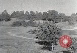 Image of sheep shearing Mongolia, 1932, second 14 stock footage video 65675025067