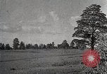 Image of sheep shearing Mongolia, 1932, second 17 stock footage video 65675025067