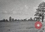 Image of sheep shearing Mongolia, 1932, second 18 stock footage video 65675025067