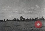 Image of sheep shearing Mongolia, 1932, second 21 stock footage video 65675025067