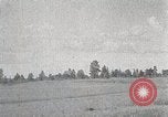 Image of sheep shearing Mongolia, 1932, second 22 stock footage video 65675025067