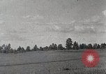 Image of sheep shearing Mongolia, 1932, second 23 stock footage video 65675025067