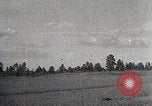 Image of sheep shearing Mongolia, 1932, second 24 stock footage video 65675025067