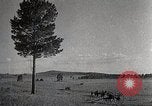 Image of sheep shearing Mongolia, 1932, second 25 stock footage video 65675025067