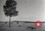 Image of sheep shearing Mongolia, 1932, second 26 stock footage video 65675025067