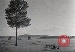 Image of sheep shearing Mongolia, 1932, second 28 stock footage video 65675025067