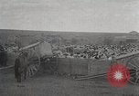 Image of sheep shearing Mongolia, 1932, second 48 stock footage video 65675025067