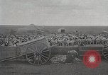 Image of sheep shearing Mongolia, 1932, second 54 stock footage video 65675025067