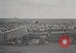 Image of sheep shearing Mongolia, 1932, second 55 stock footage video 65675025067