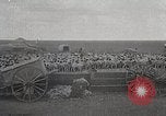 Image of sheep shearing Mongolia, 1932, second 56 stock footage video 65675025067