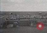 Image of sheep shearing Mongolia, 1932, second 58 stock footage video 65675025067