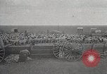 Image of sheep shearing Mongolia, 1932, second 59 stock footage video 65675025067