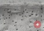 Image of drought scenes in Hailar Mongoia, 1932, second 5 stock footage video 65675025068