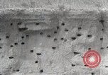 Image of drought scenes in Hailar Mongoia, 1932, second 6 stock footage video 65675025068