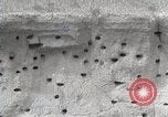 Image of drought scenes in Hailar Mongoia, 1932, second 8 stock footage video 65675025068