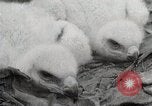 Image of drought scenes in Hailar Mongoia, 1932, second 34 stock footage video 65675025068