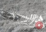 Image of drought scenes in Hailar Mongoia, 1932, second 52 stock footage video 65675025068