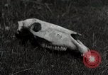 Image of drought scenes in Hailar Mongoia, 1932, second 57 stock footage video 65675025068
