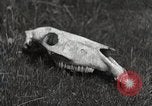 Image of drought scenes in Hailar Mongoia, 1932, second 59 stock footage video 65675025068