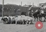Image of District of Hailar Manchukuo, 1932, second 44 stock footage video 65675025069