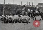 Image of District of Hailar Manchukuo, 1932, second 45 stock footage video 65675025069