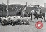 Image of District of Hailar Manchukuo, 1932, second 46 stock footage video 65675025069