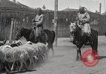 Image of District of Hailar Manchukuo, 1932, second 52 stock footage video 65675025069