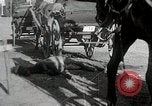 Image of British walled compound Mongolia, 1931, second 46 stock footage video 65675025070