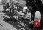 Image of British walled compound Mongolia, 1931, second 49 stock footage video 65675025070