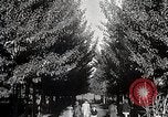 Image of Woman with sanxian Harbin China, 1932, second 26 stock footage video 65675025071