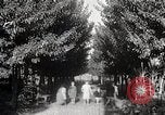 Image of Woman with sanxian Harbin China, 1932, second 28 stock footage video 65675025071
