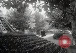 Image of Woman with sanxian Harbin China, 1932, second 52 stock footage video 65675025071