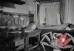 Image of Students doing assembly work Japan, 1945, second 22 stock footage video 65675025079
