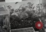 Image of Students doing assembly work Japan, 1945, second 58 stock footage video 65675025079
