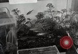 Image of Students doing assembly work Japan, 1945, second 60 stock footage video 65675025079