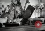 Image of educational system Japan, 1945, second 33 stock footage video 65675025083