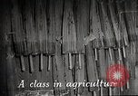 Immagine di Il sistema educativo Giappone, 1945, secondo 1 filmato di repertorio 65675025085
