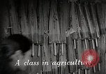 Immagine di Il sistema educativo Giappone, 1945, secondo 3 filmato di repertorio 65675025085