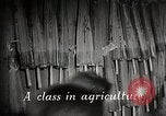 Immagine di Il sistema educativo Giappone, 1945, secondo 4 filmato di repertorio 65675025085