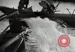 Immagine di Il sistema educativo Giappone, 1945, secondo 44 filmato di repertorio 65675025085
