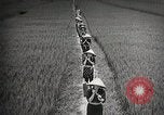 Immagine di Il sistema educativo Giappone, 1945, secondo 60 filmato di repertorio 65675025085