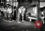 Image of educational system Japan, 1945, second 22 stock footage video 65675025087