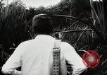 Standbild Kampf für Palembang Ölraffinerien Palembang Indonesien, 1942, aus Sekunde 38 historischem Filmmaterial Videoclip 65675025093