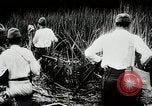 Standbild Kampf für Palembang Ölraffinerien Palembang Indonesien, 1942, aus Sekunde 51 historischem Filmmaterial Videoclip 65675025093