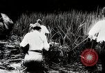 Standbild Kampf für Palembang Ölraffinerien Palembang Indonesien, 1942, aus Sekunde 53 historischem Filmmaterial Videoclip 65675025093